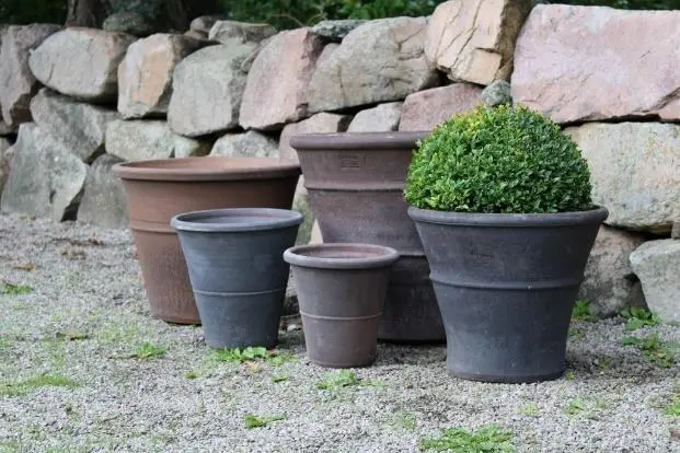 Bild på orangeri-krukor